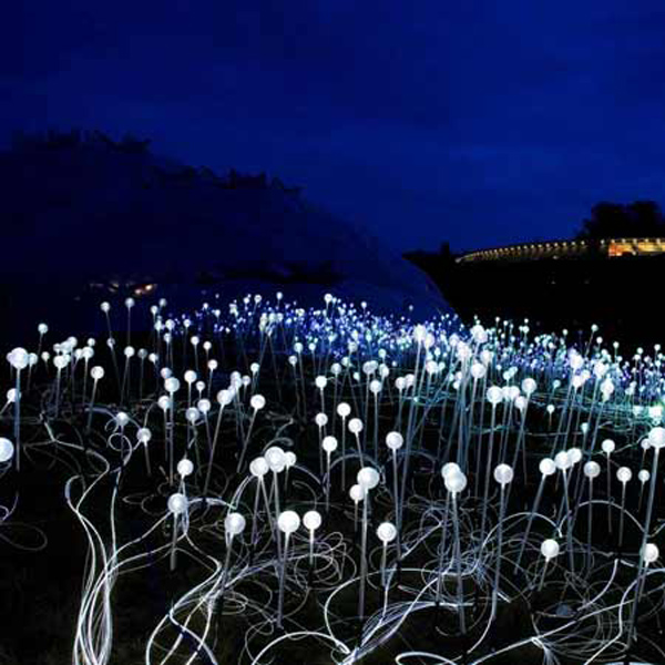 Lights bloom in Cornwall